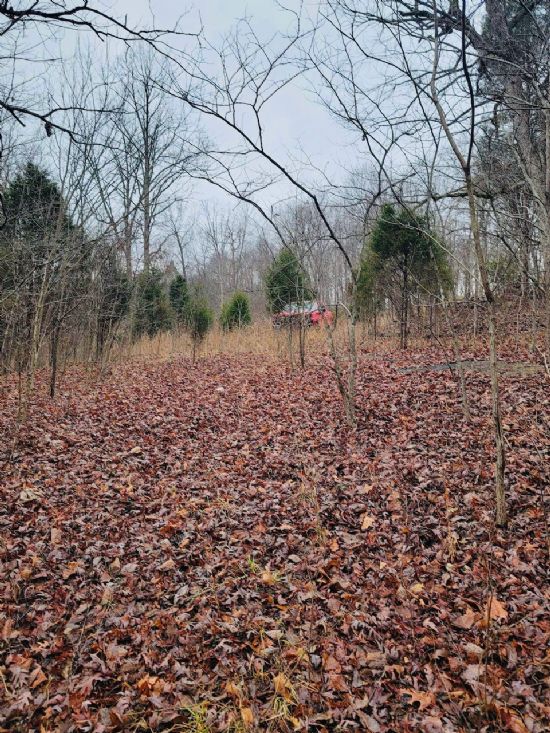 Kentucky Land Company